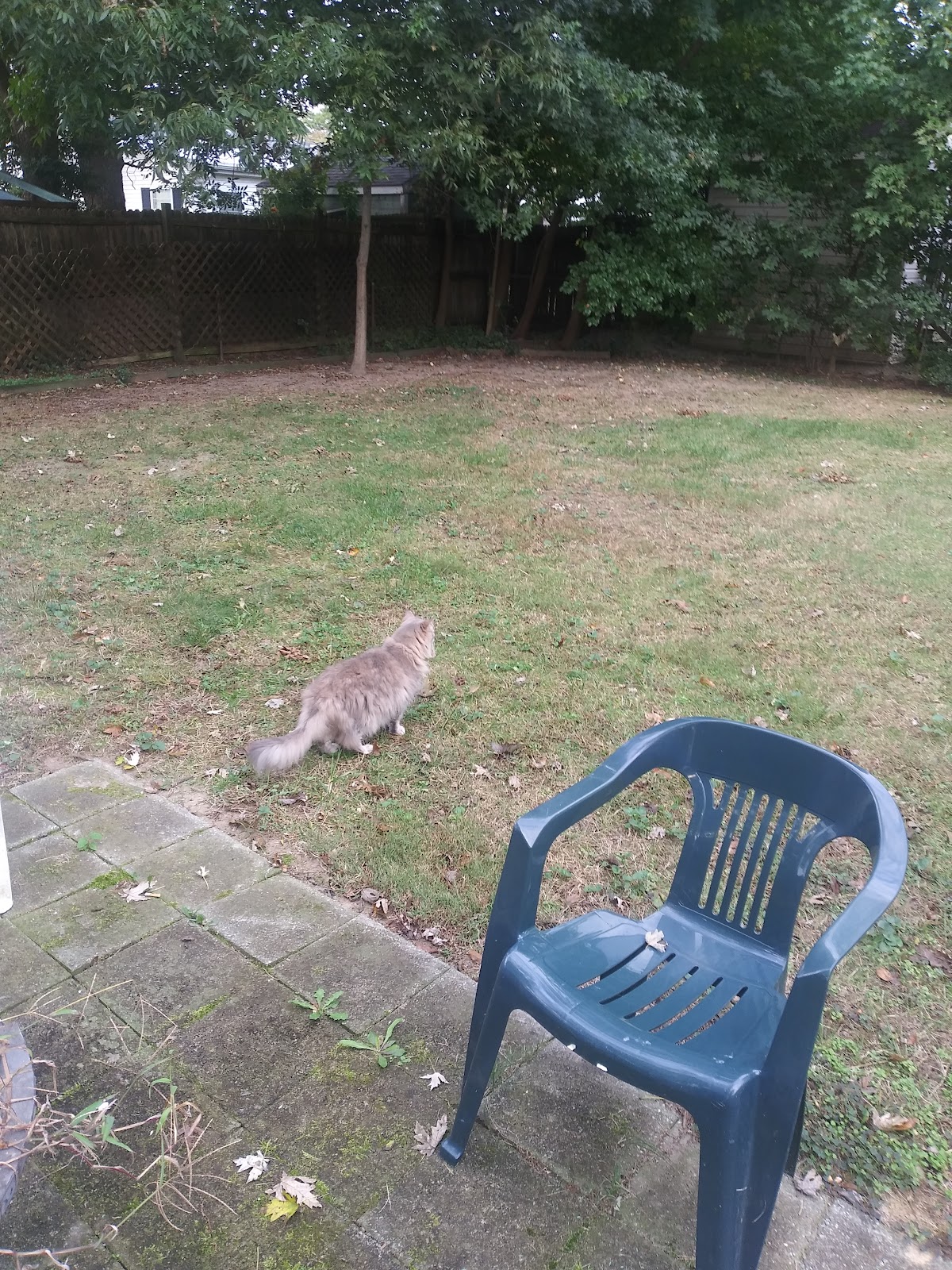 Maryview Behavioral Medicine Center